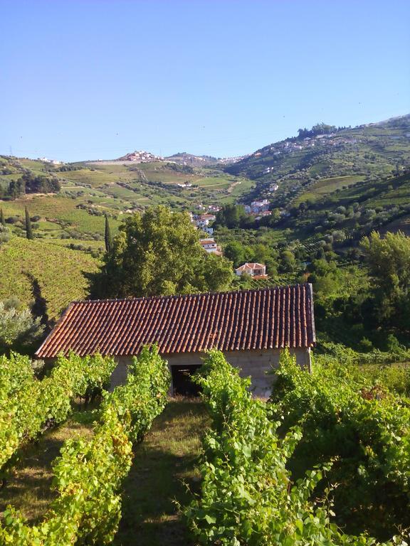 Quinta Do Fojo Bed & Breakfast ลาเมโก ภายนอก รูปภาพ